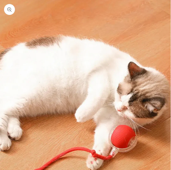 Interaktiver Magie-Ball für Katzen